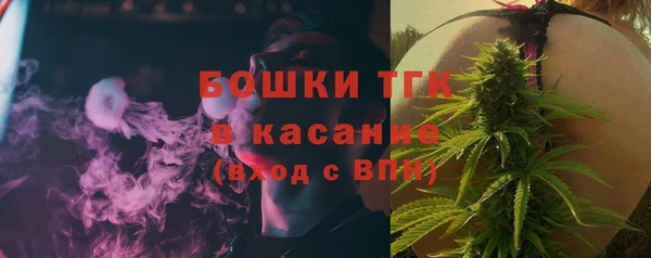 крисы Медногорск