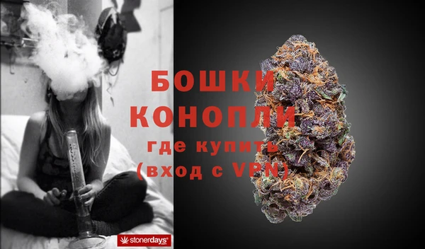 шишки Белокуриха