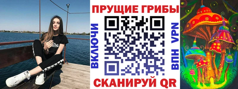 Псилоцибиновые грибы прущие грибы  Болхов 
